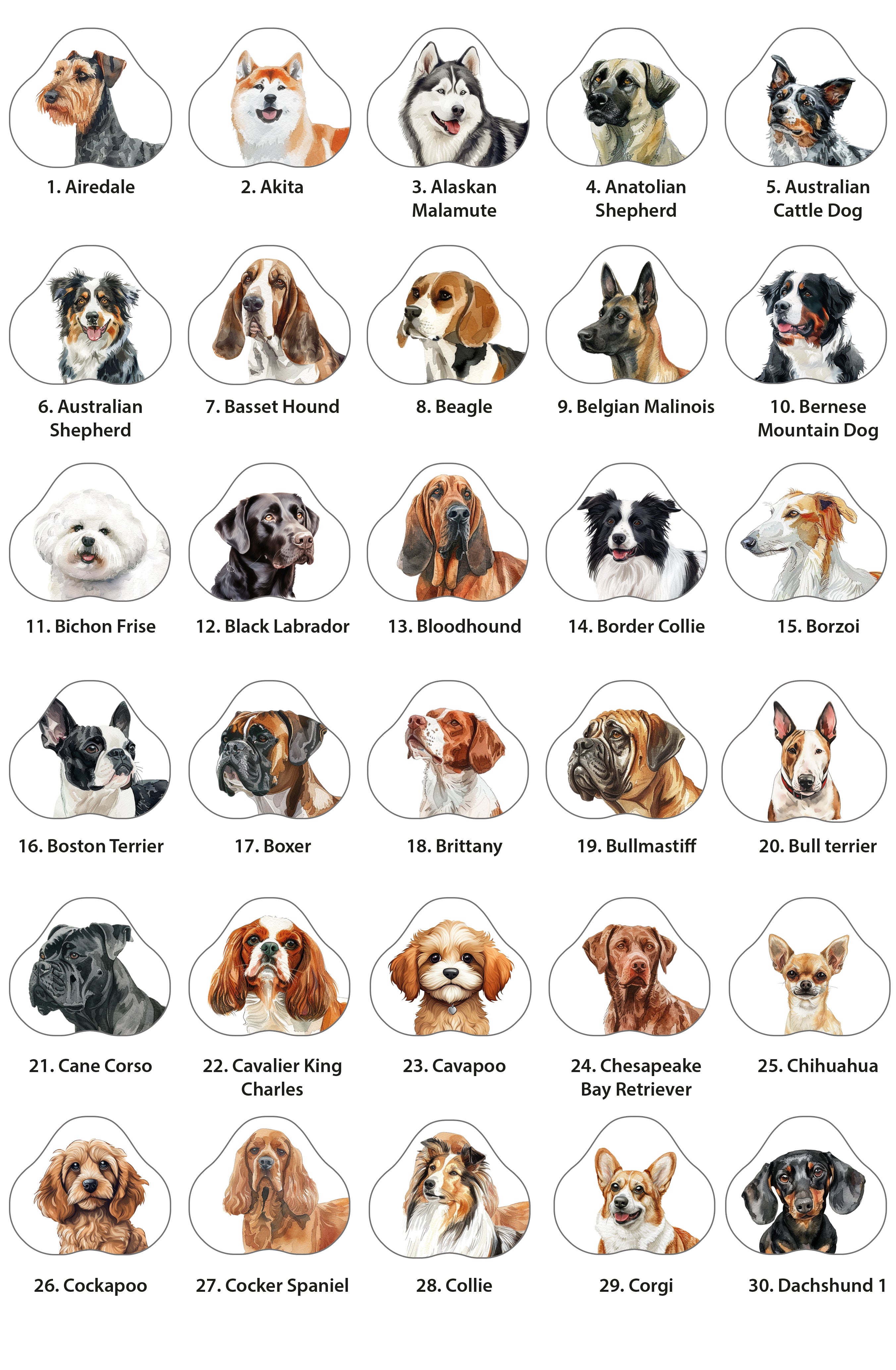 Personalised Dog Lead hanger