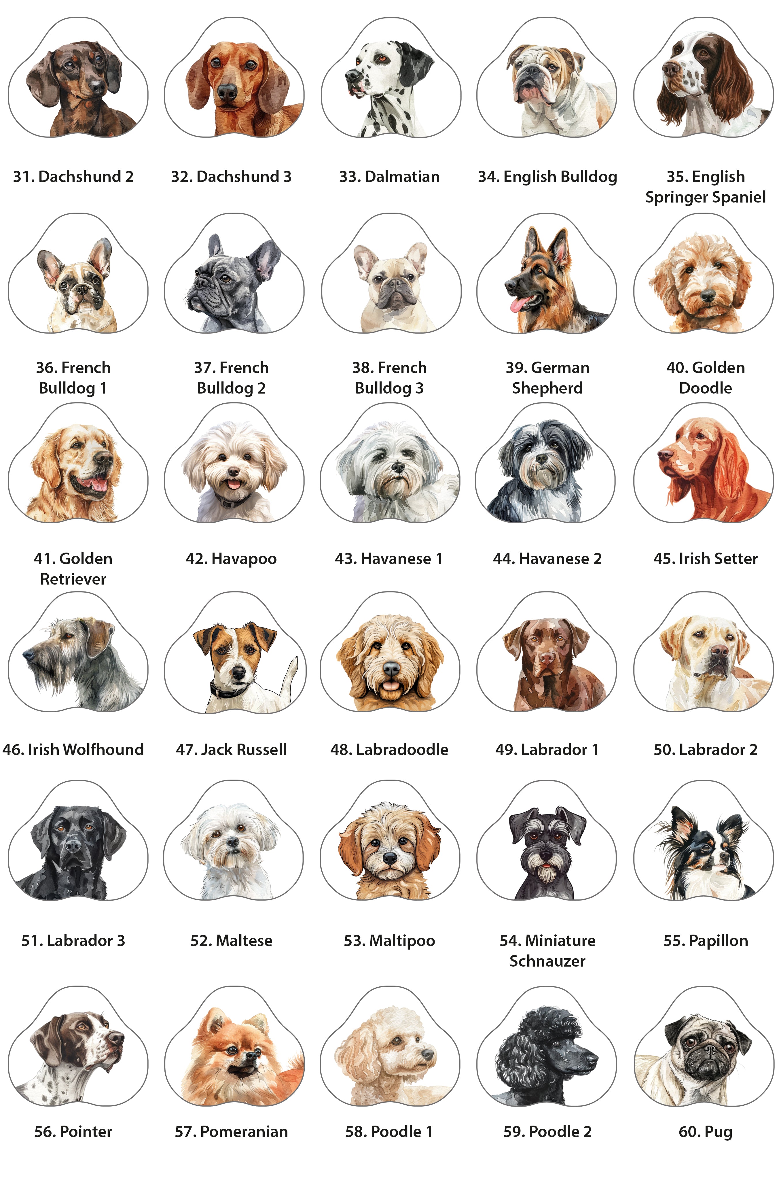 Personalised Dog Lead hanger