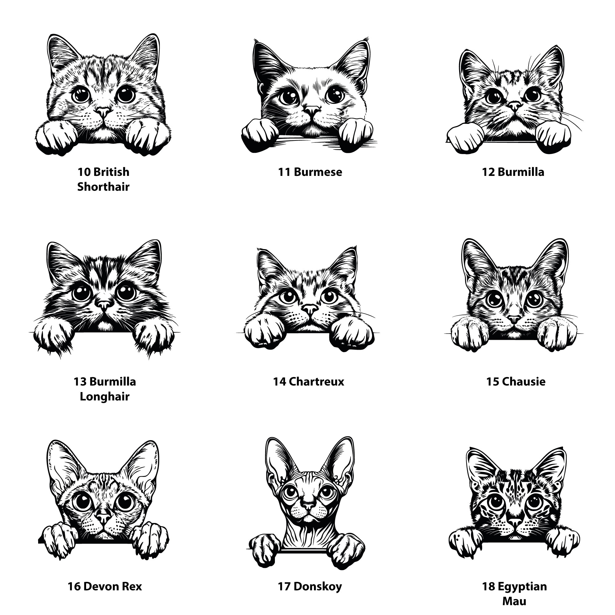 Personalised cat treat jar