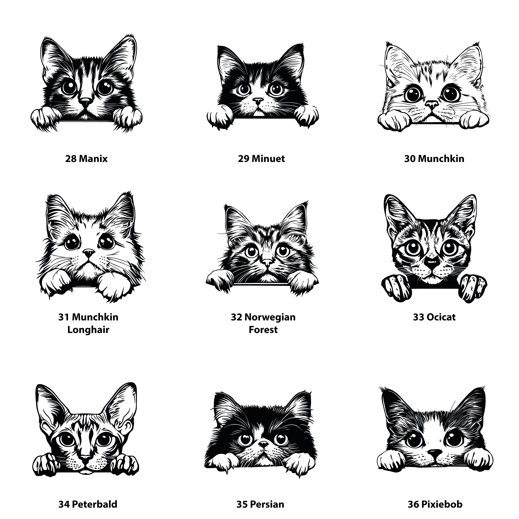 Personalised cat treat jar