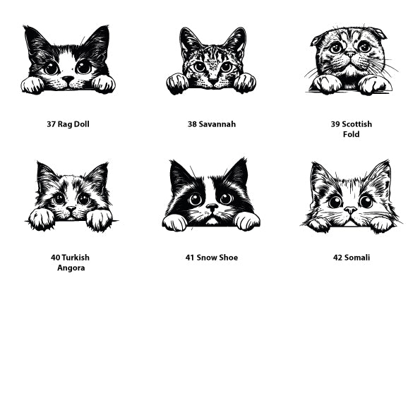 Personalised cat treat jar