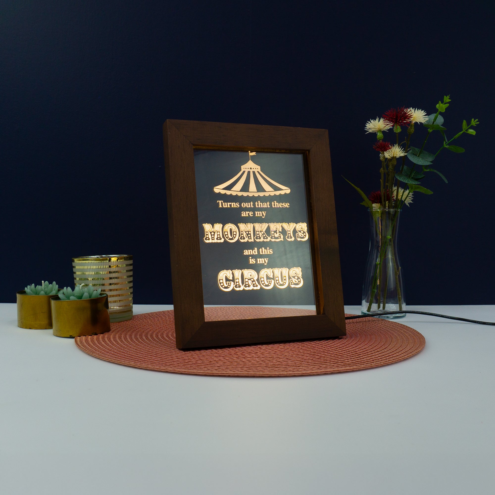 These are my monkeys This is my circus Light up LED framed sign