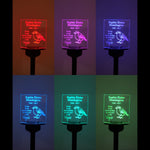 Memory garden name sign condolence gift. Personalised light up LED remembrance plaque