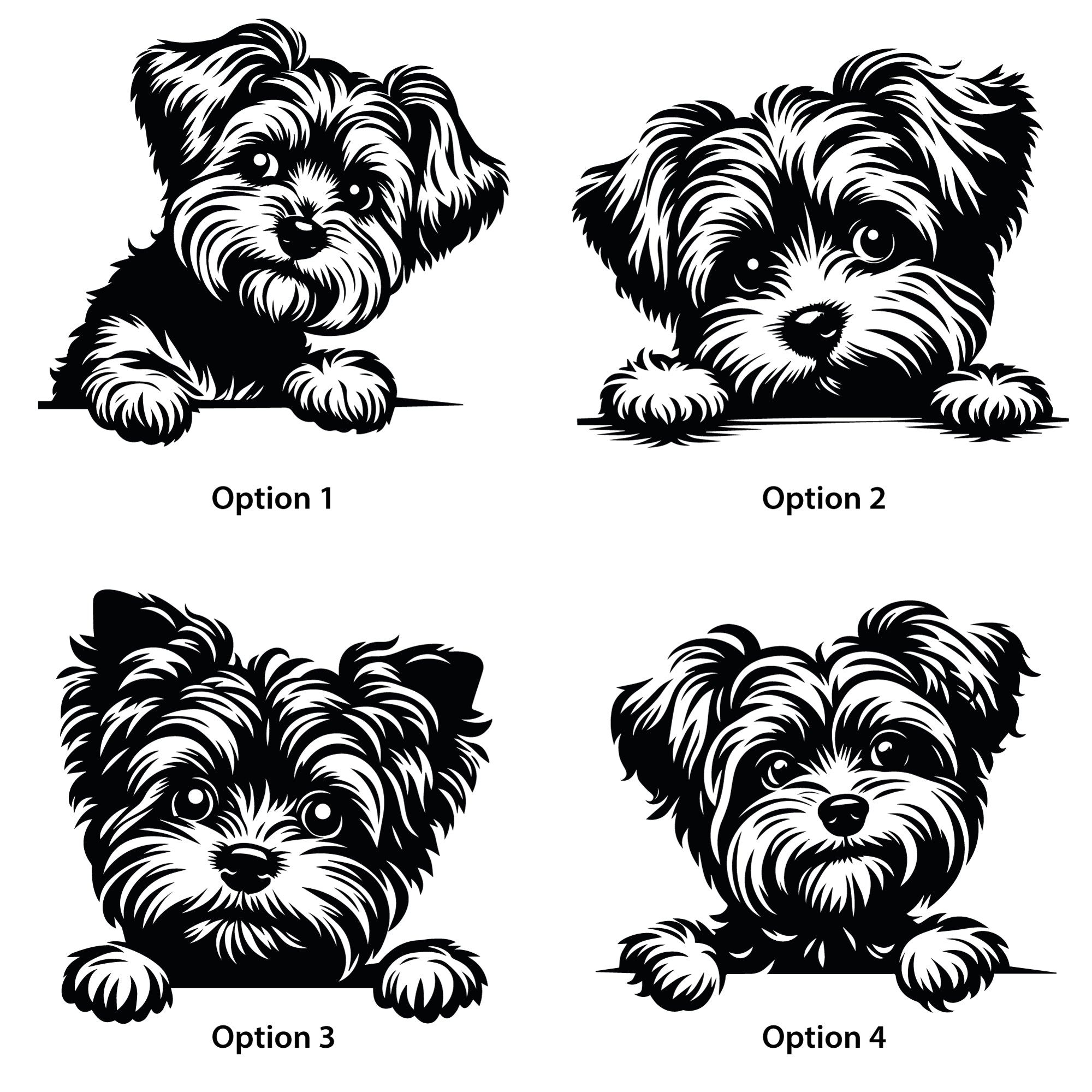 Personalised Yorkipoo Dog Treat Jar. Custom Biscuit Storage. Yorkie Poodle Cross