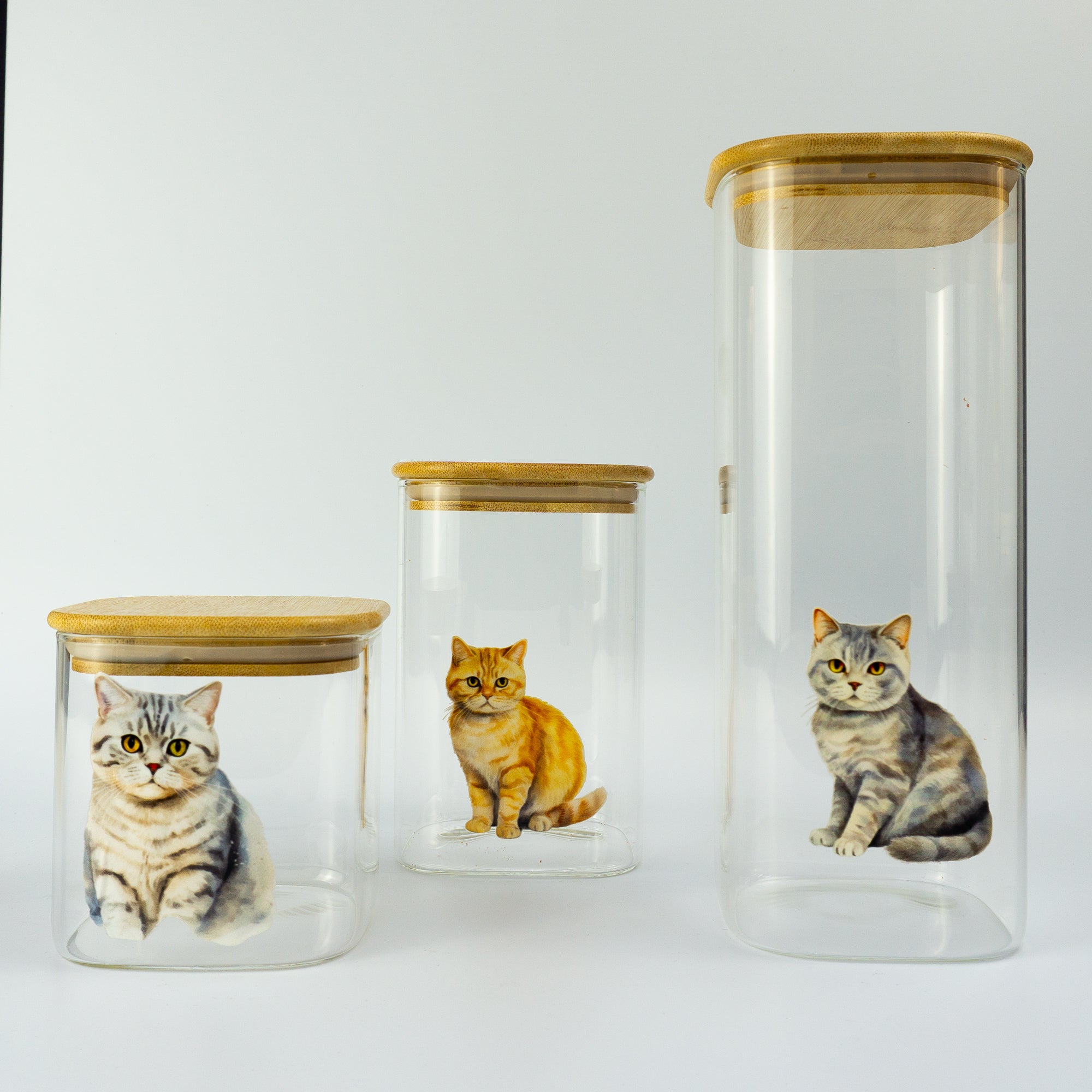 Personalised British Shorthair cat treat jar
