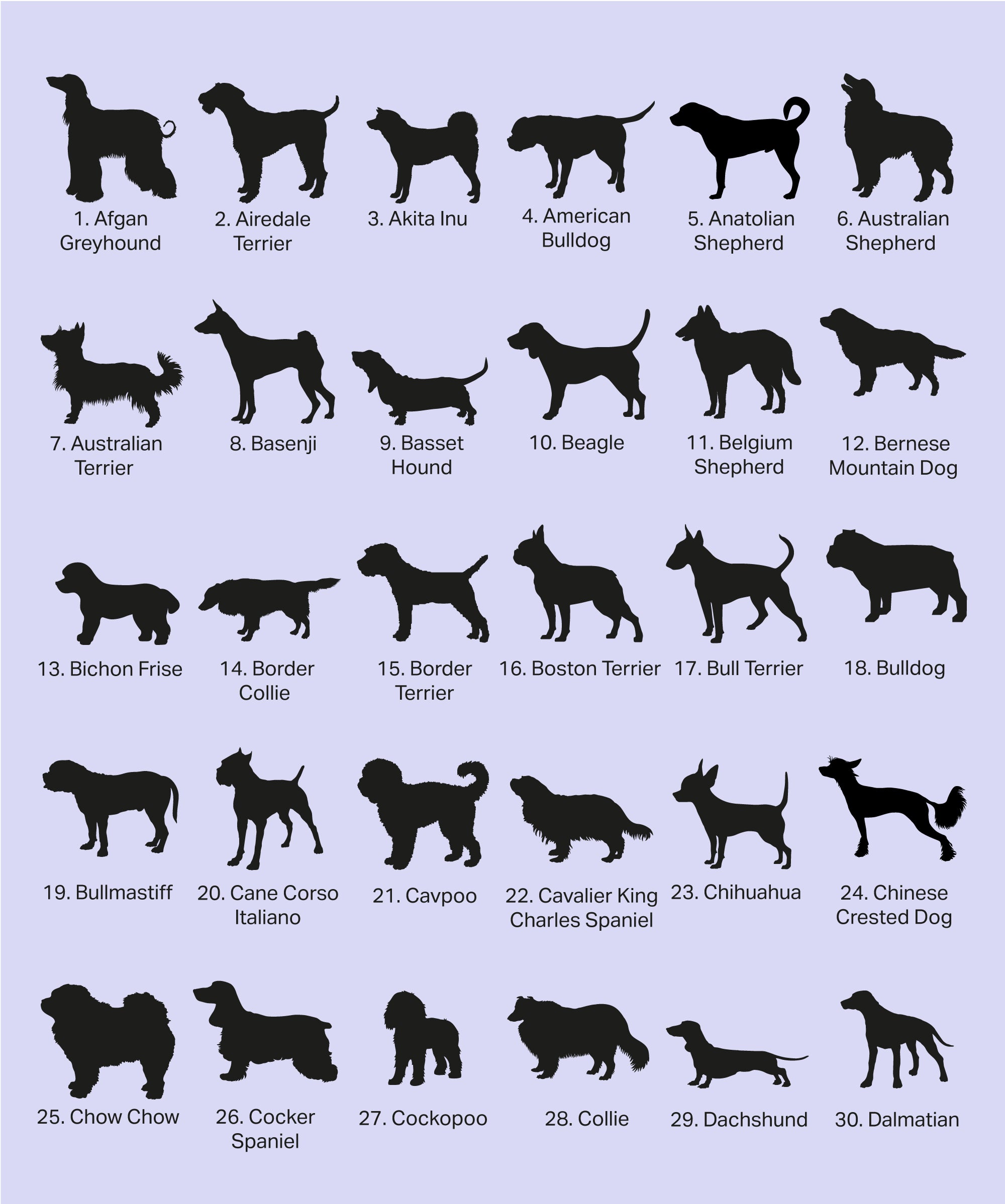 Personalised large dog bowl