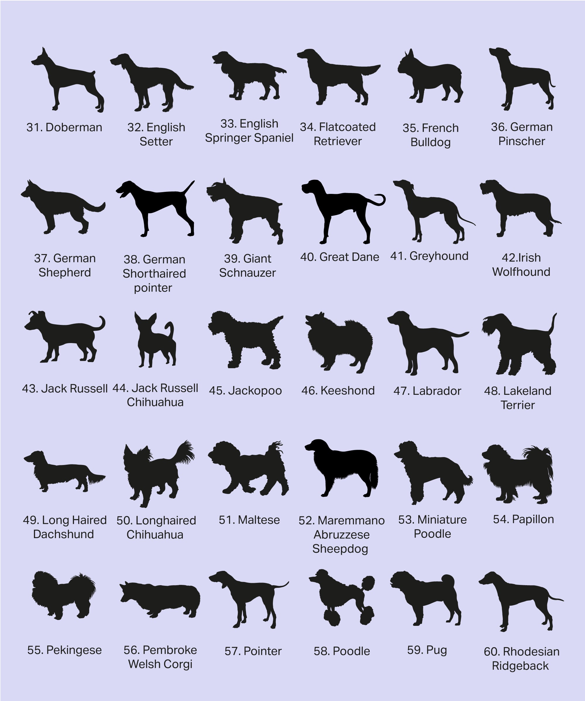 Personalised twin dog bowls