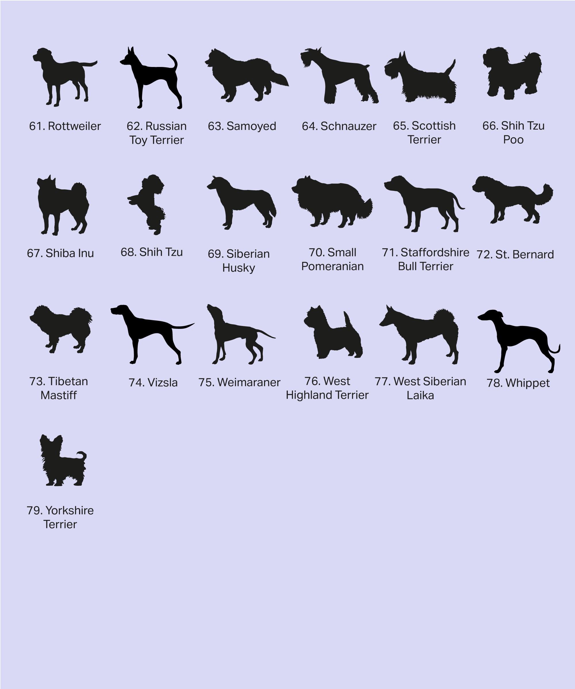 Personalised twin dog bowls