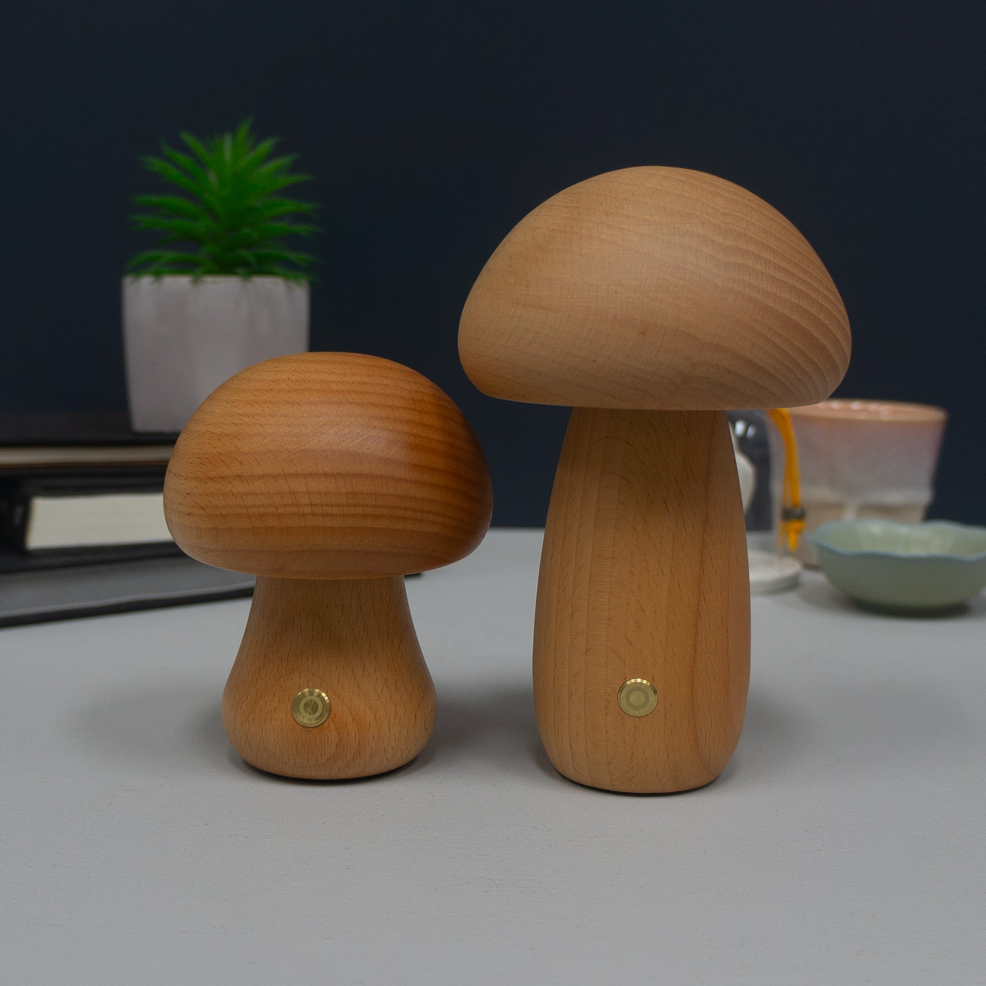 Rechargeable mushroom desk lamps