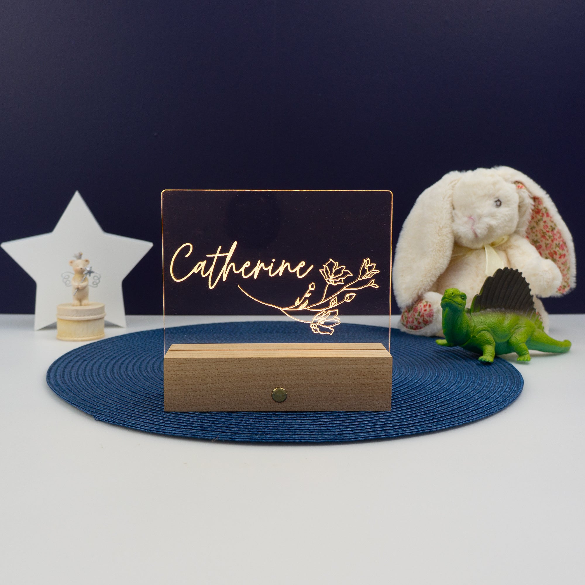 Custom bedroom name plaque. Light up LED shelf decoration