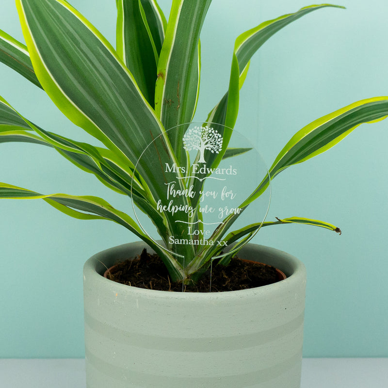 Personalised teacher house plant gift sign