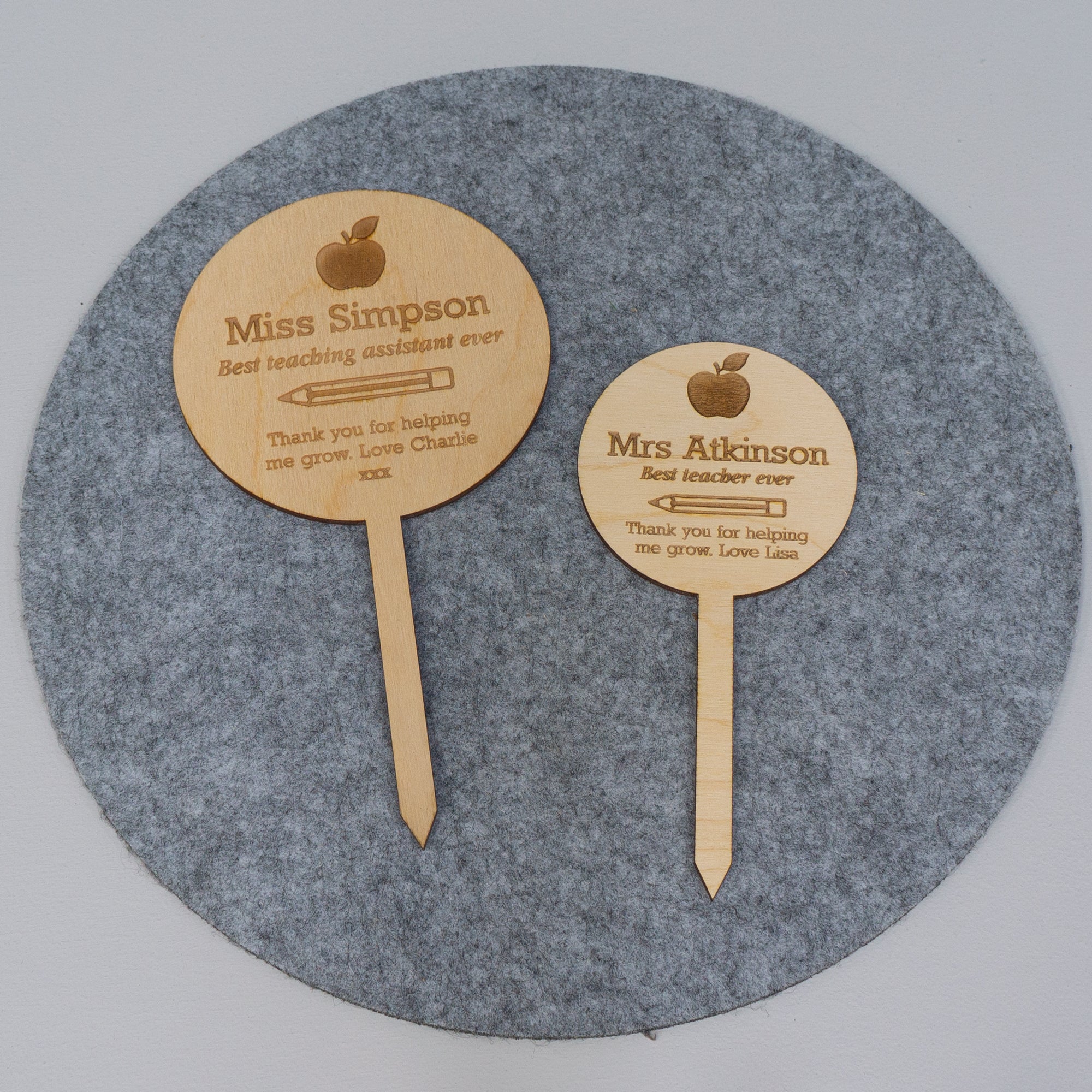 Personalised best teacher ever house plant gifting topper