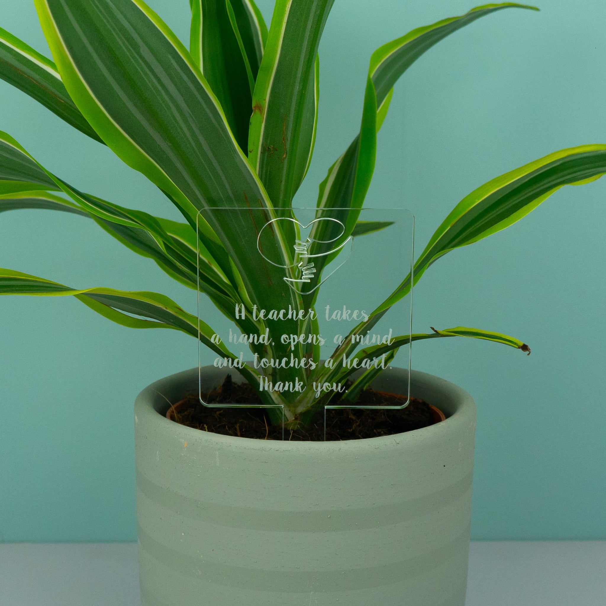 End of term teacher house plant gift tag