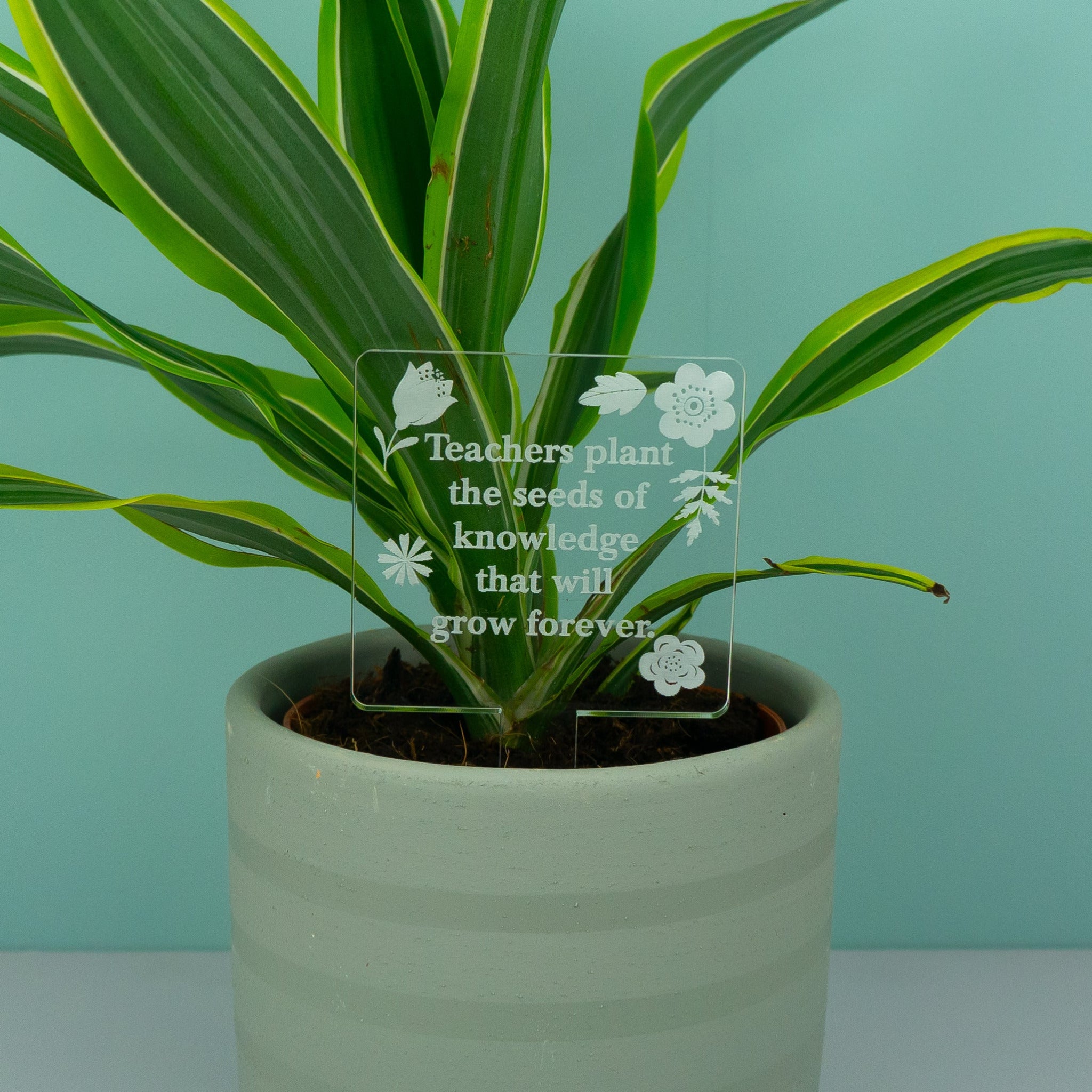 End of term teacher house plant gift tag