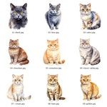 Personalised British Shorthair cat treat jar