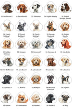 Personalised Dog Lead hanger