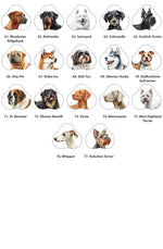 Personalised Dog Lead hanger