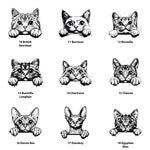 Personalised cat treat jar
