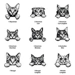 Personalised cat treat jar