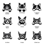 Personalised cat treat jar