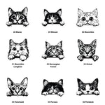 Personalised cat treat jar
