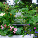 Personalised outdoor garden sign. Solar powered multi colour LED garden name plaque