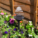 Light up LED dog memorial garden decoration. Personalised solar powered outdoor name plaque
