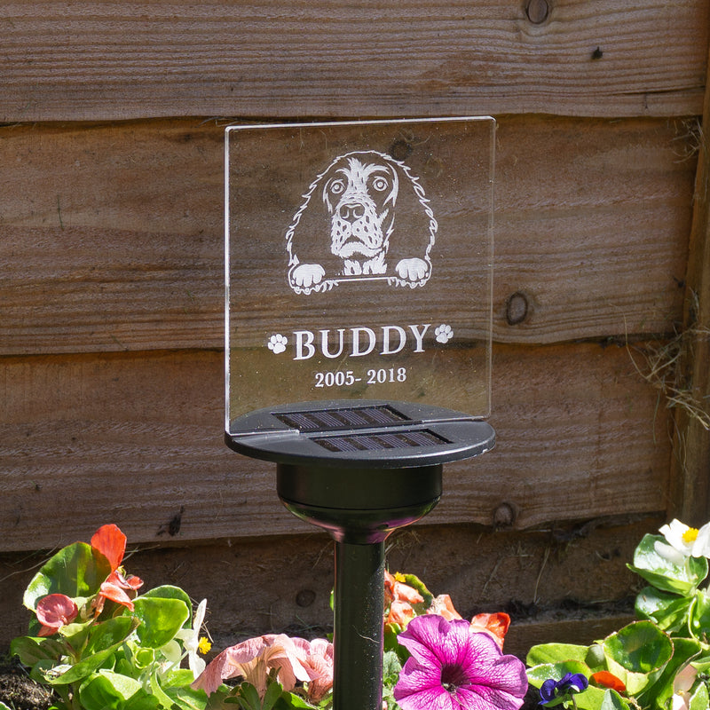 Light up LED dog memorial garden decoration. Personalised solar powered outdoor name plaque