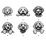 Personalised Labradoodle & Doodle Treat Jar. Dog Biscuit Container