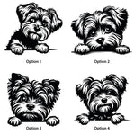 Personalised Yorkipoo Dog Treat Jar. Custom Biscuit Storage. Yorkie Poodle Cross