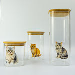Personalised British Shorthair cat treat jar