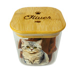 Personalised British Shorthair cat treat jar