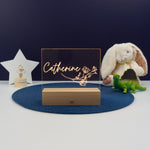 Custom bedroom name plaque. Light up LED shelf decoration