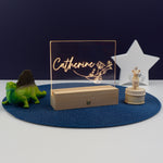 Custom bedroom name plaque. Light up LED shelf decoration