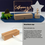 Custom bedroom name plaque. Light up LED shelf decoration
