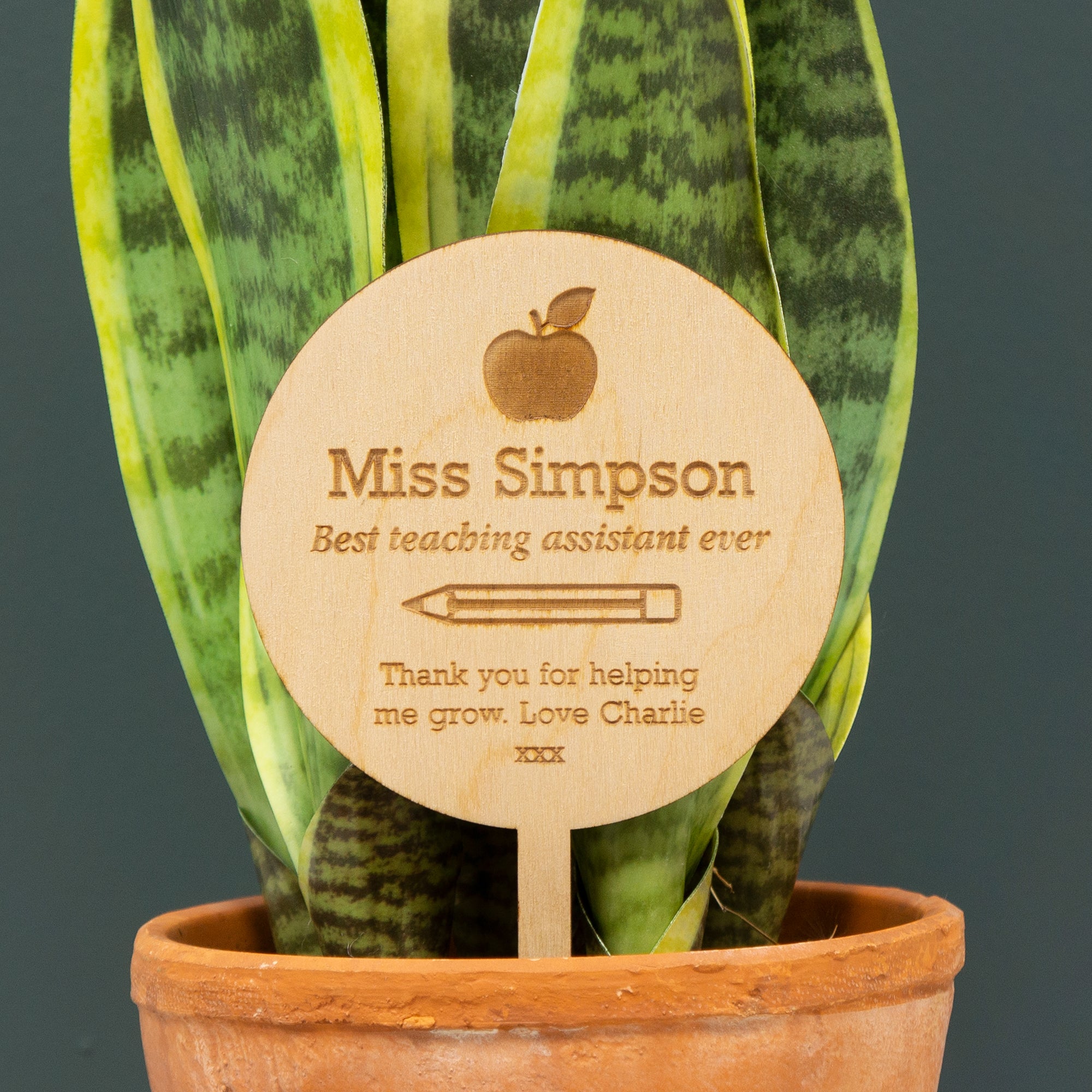 Personalised best teacher ever house plant gifting topper